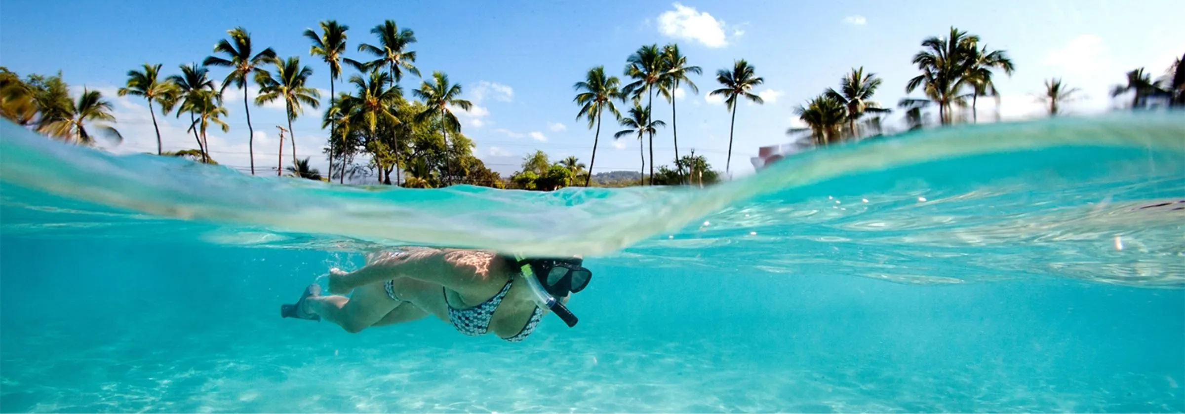 Person snorkeling in clear water with palm trees in the background.