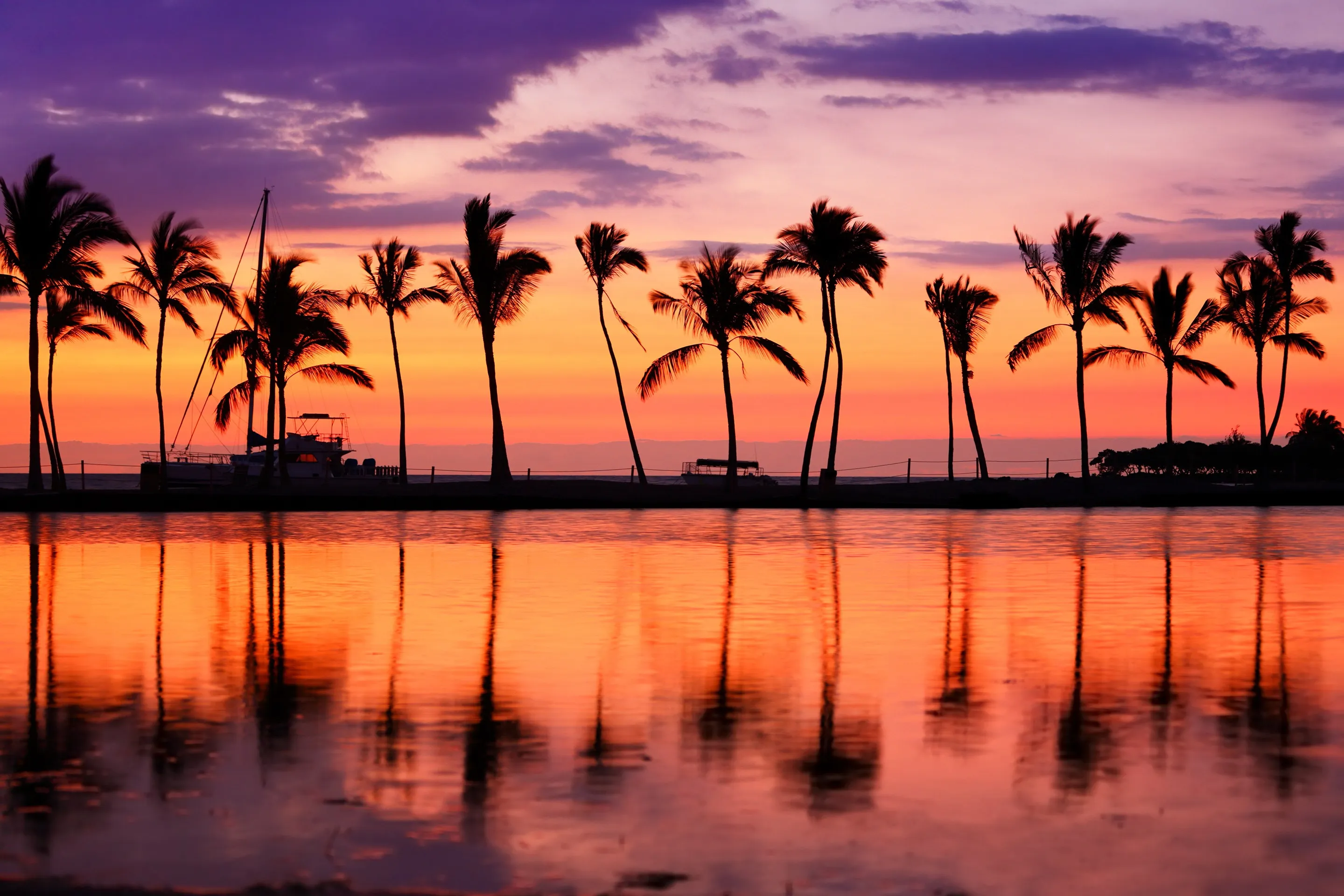 Palm trees silhouetted against a vibrant sunset over calm water.