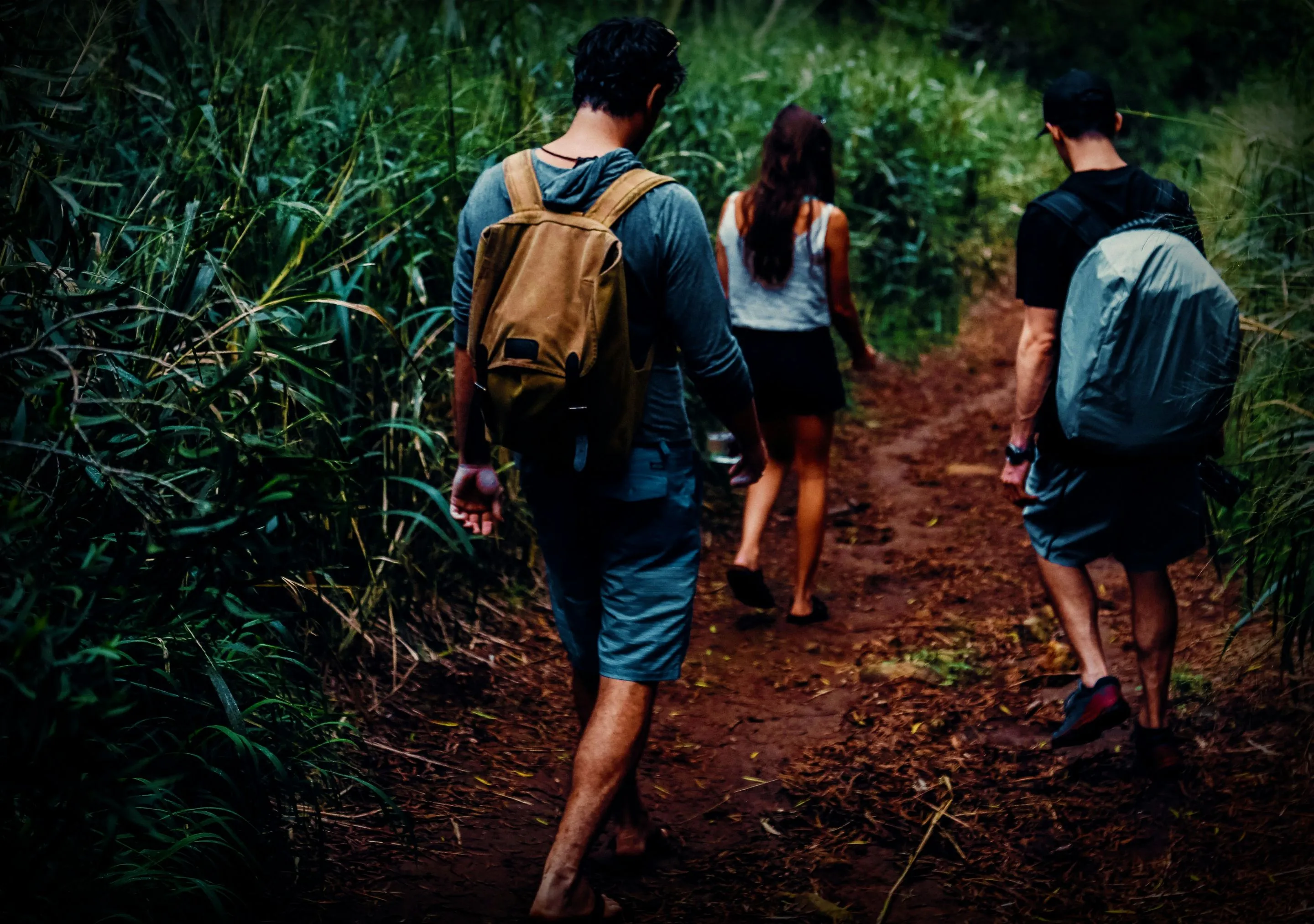 Three people hiking on a narrow, forested trail.
