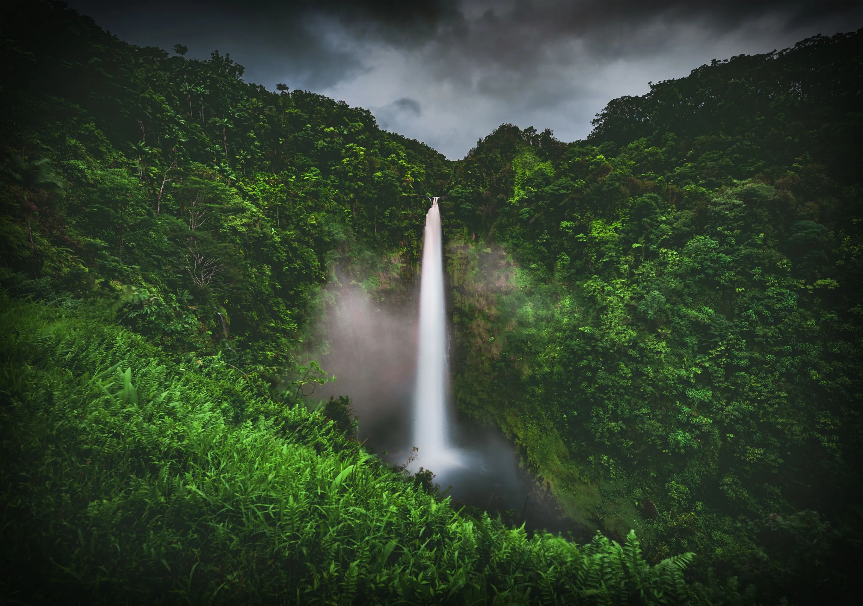 Waterfall cascading into a lush green forest under a cloudy sky.
