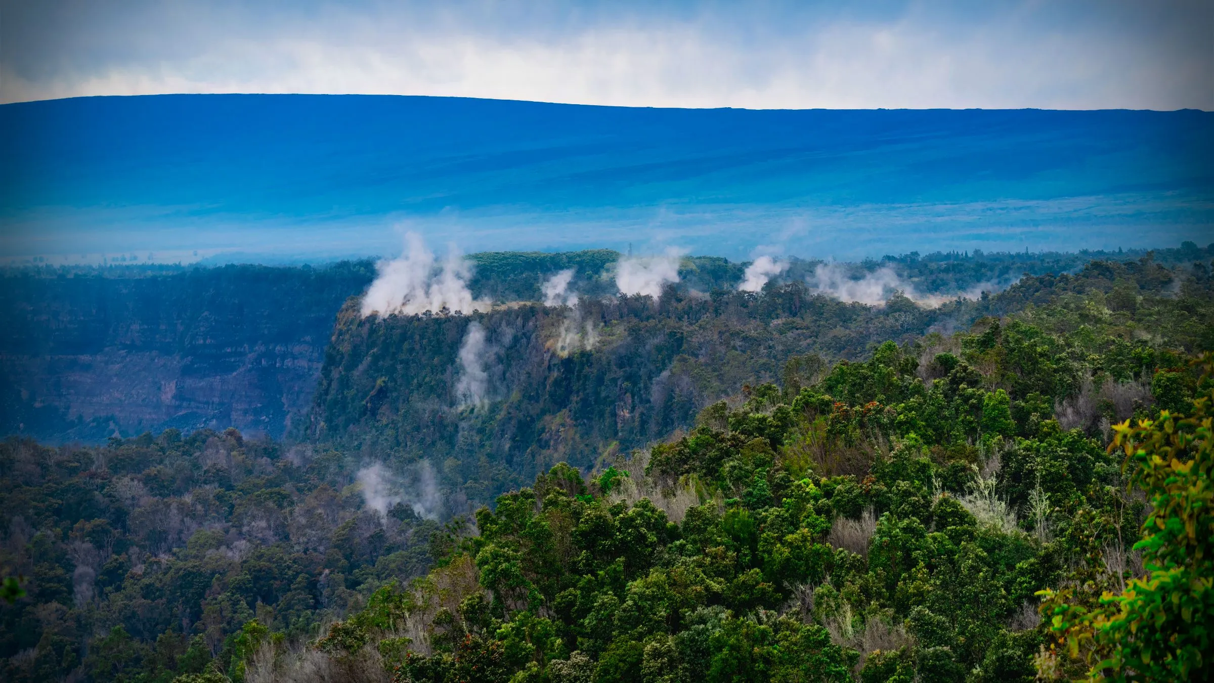 Lush green forest with steam rising from volcanic vents.