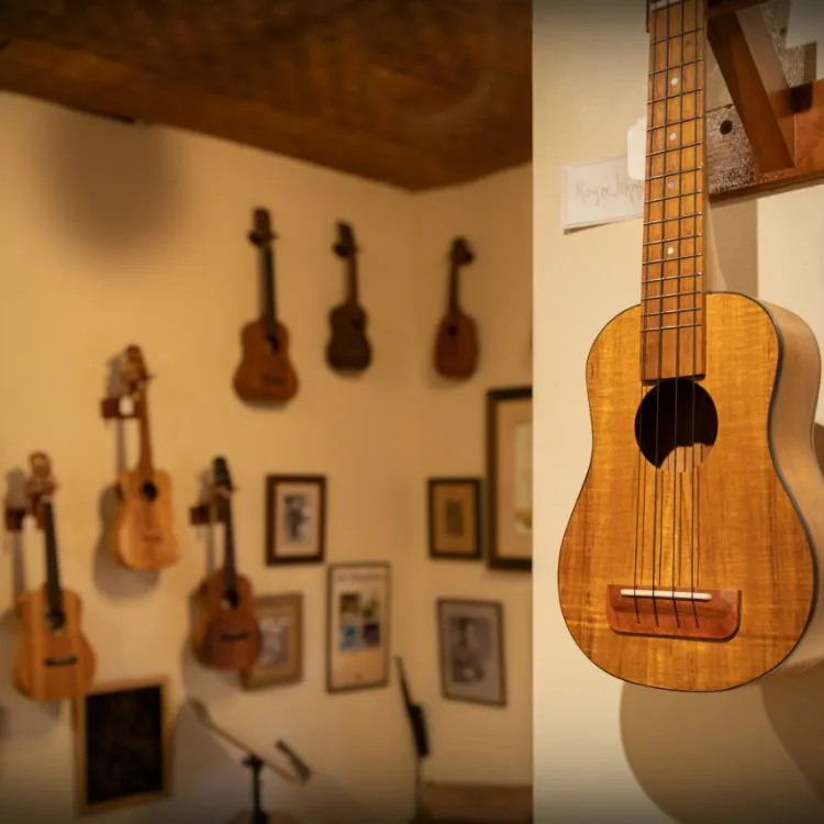 Crafted by Culture. Inspired by Nature.